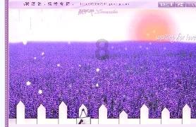向华强透露张国荣死亡隐情，坦言：若没有张柏芝，哥哥就不会死！游戏画面